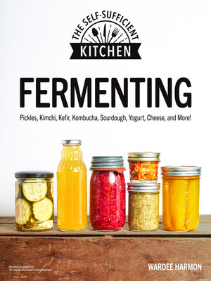 cover image of Fermenting